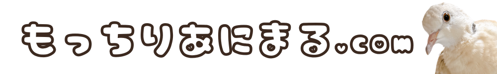 もっちりあにまる飼育ブログ