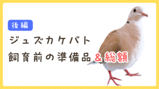 ジュズカケバトのお迎え準備レポ【後編&費用公開】|ハト飼育スタート