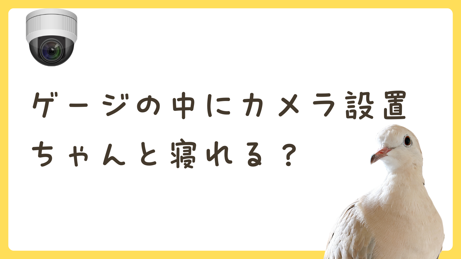 ペットカメラをゲージの中に設置しても大丈夫？｜ハト飼育ブログ