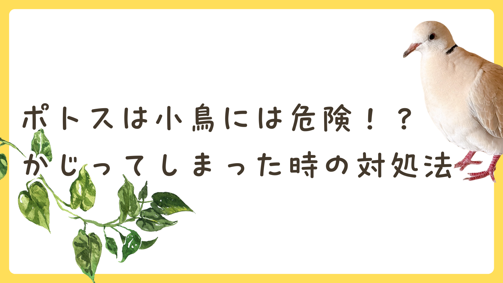 ポトスはペットに危険！絶対食べさせちゃダメな理由と食べた時の対処法